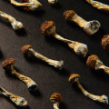 Explore the Benefits of Psilocybin While Understanding the Role of Drug Detox in New Jersey